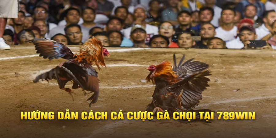 GO88 – LINK VÀO GO88, TẢI APP GO88