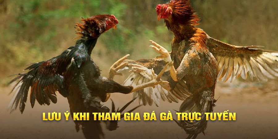 GO88 – LINK VÀO GO88, TẢI APP GO88