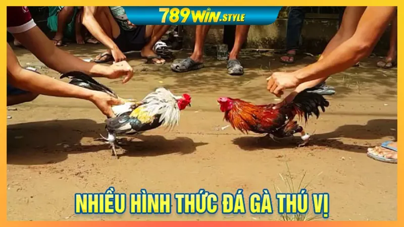 GO88 – LINK VÀO GO88, TẢI APP GO88