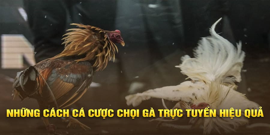 GO88 – LINK VÀO GO88, TẢI APP GO88