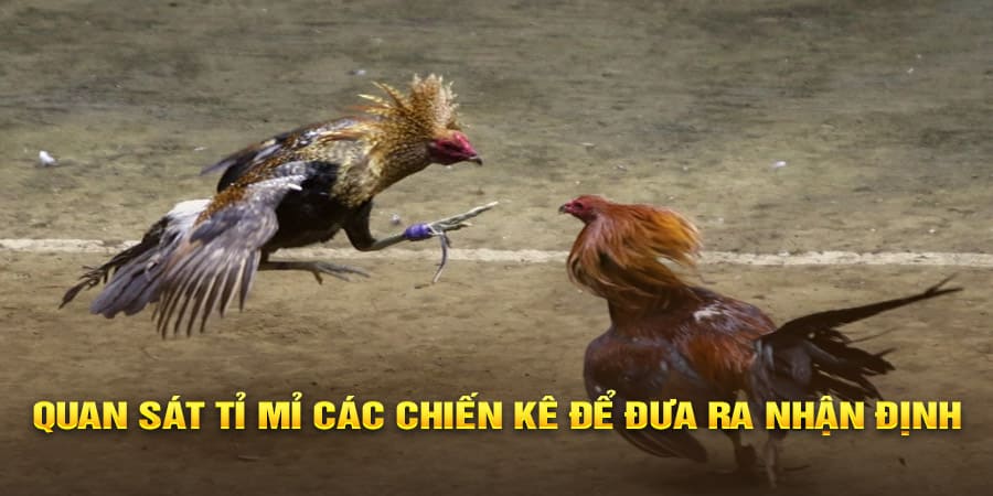 GO88 – LINK VÀO GO88, TẢI APP GO88