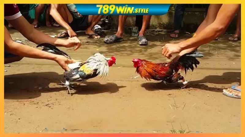 GO88 – LINK VÀO GO88, TẢI APP GO88