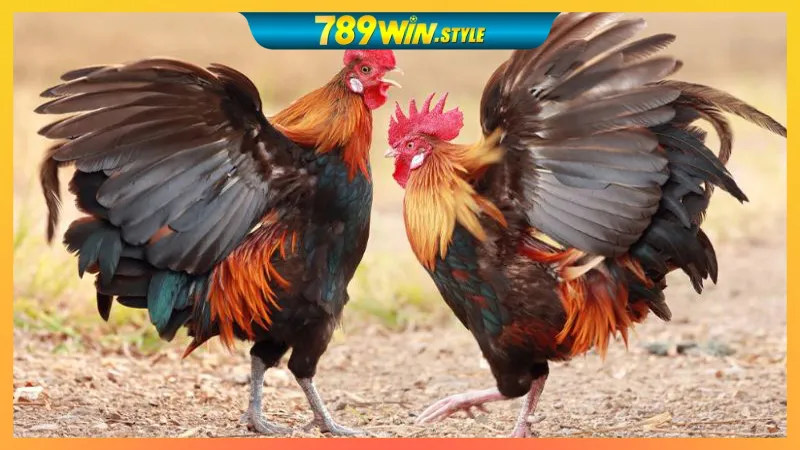 GO88 – LINK VÀO GO88, TẢI APP GO88