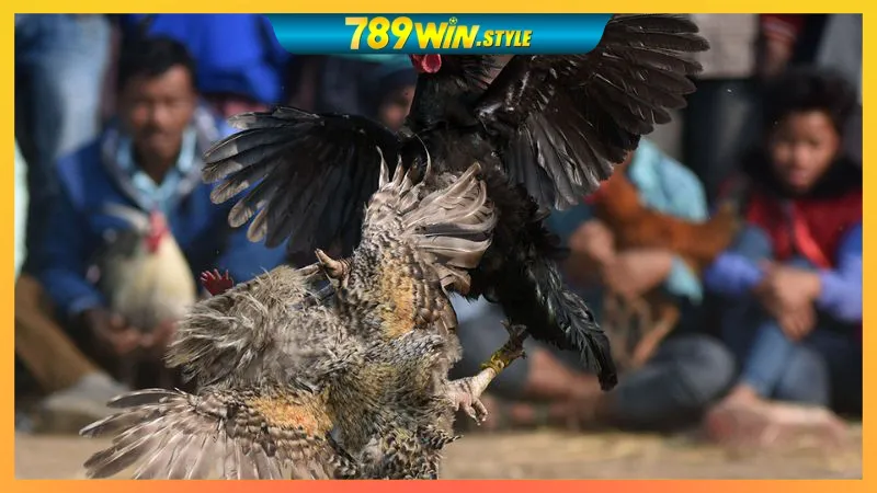 GO88 – LINK VÀO GO88, TẢI APP GO88