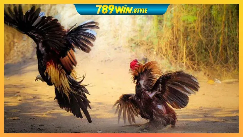 GO88 – LINK VÀO GO88, TẢI APP GO88