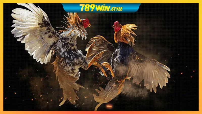 GO88 – LINK VÀO GO88, TẢI APP GO88